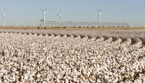 Better Cotton Initiative Extends Strategic Partnership with Cotton Australia