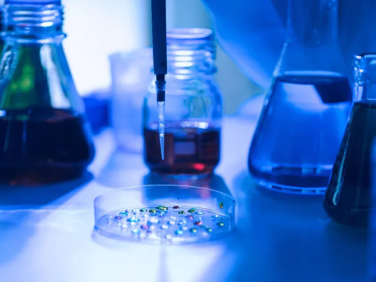 REACH Güncellemesi: Bisfenol Ailesine Geniş Çaplı Kısıtlama Geliyor
