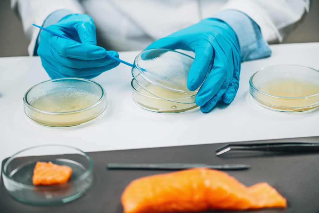 Turkish Food Codex Regulation On Microbiological Criteria Has Been Published