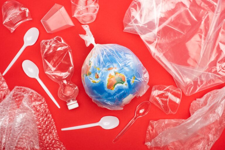 Fransa’nın Döngüsel Ekonomi Yasası: Plastik Kirliliğine Karşı Yeni Önlemler ve Sürdürülebilirlik Adımları